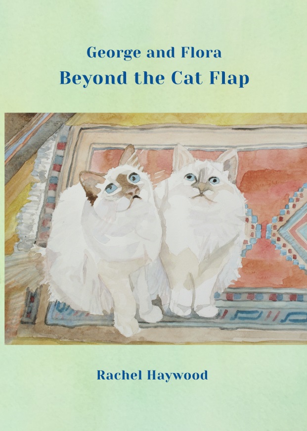 Children, adventure, cats