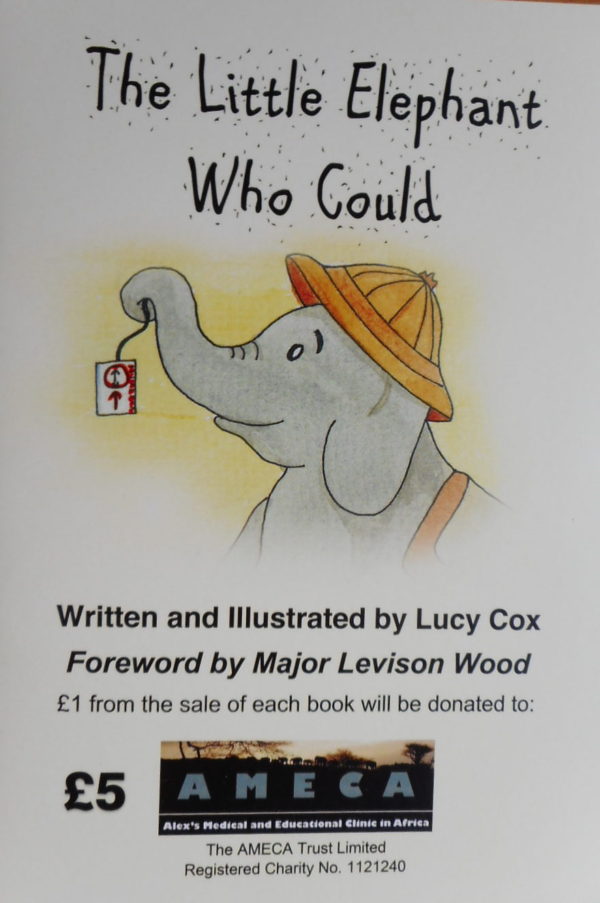 The Little Elephant who could - Lucy Cox
