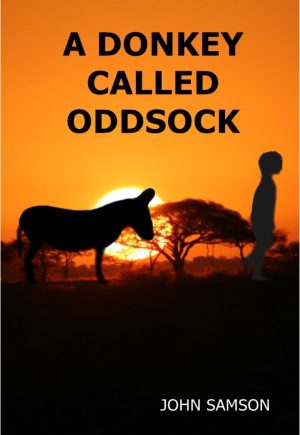 A Donkey Called Oddsock - John Samson